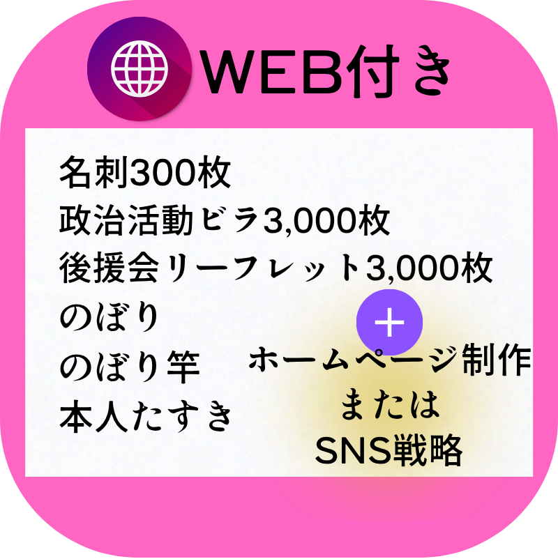 政治活動サポートセット＋WEB制作